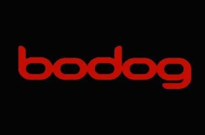 bodog-casino
