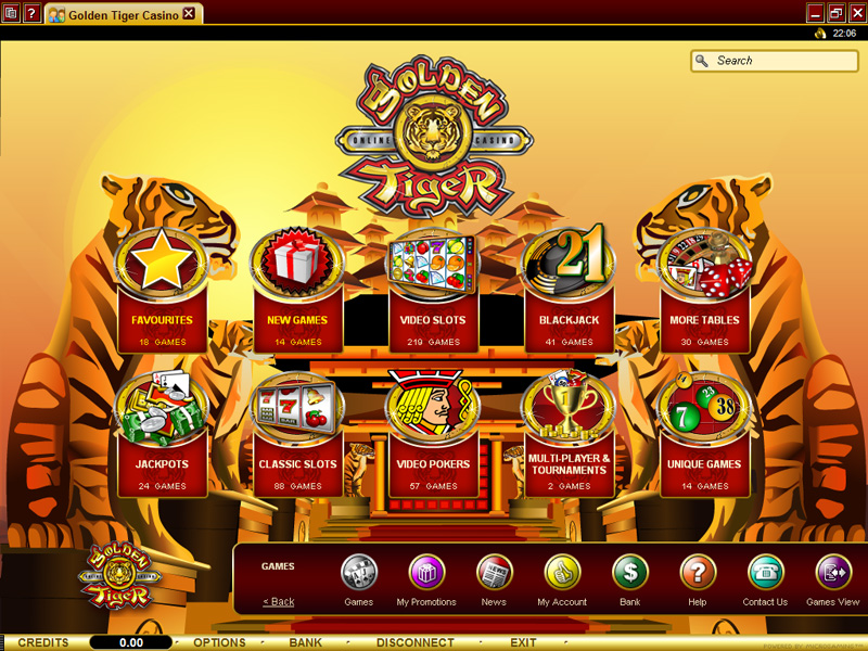 Golden Tiger1