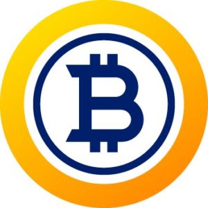 Bitcoin-Gold-300x300