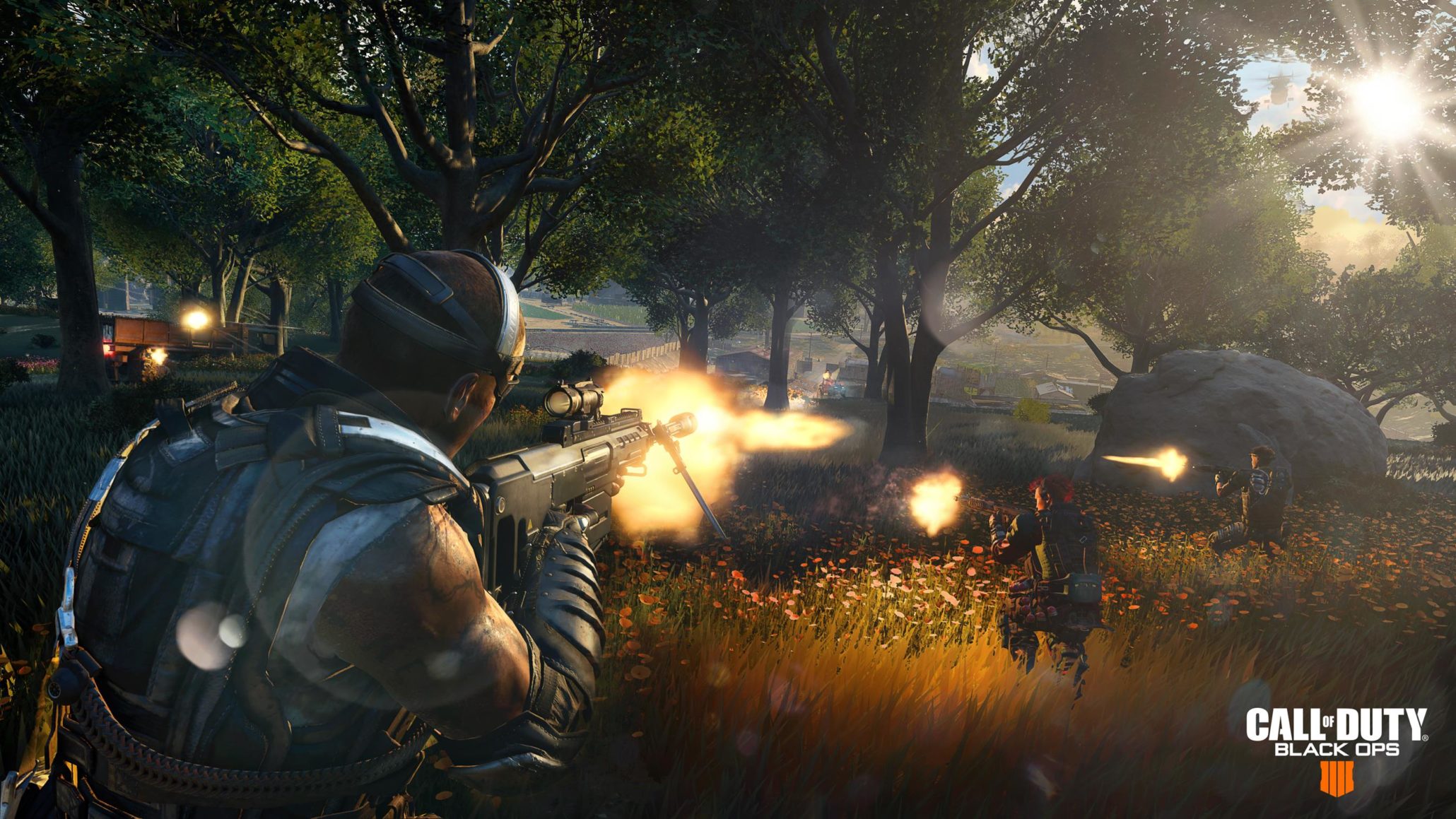 blackout_woods-2060x1159