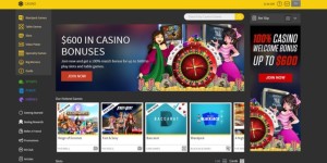 bodog